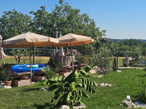 a patio with umbrellas and a pool and a raft at Darya Pince in Tormafölde
