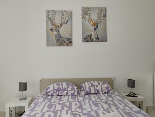 Apartamentos Monica