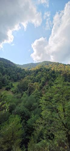 a view of a green hill with trees and clouds at Sim Guesthouse in Sım