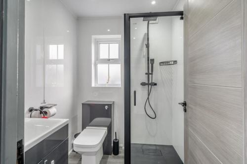 a bathroom with a shower and a toilet and a sink at Orchard House - Cockermouth in Embleton