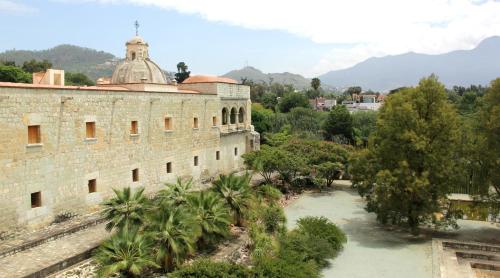 Příroda nedaleko kapslového hotelu