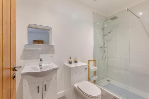 a bathroom with a toilet and a sink and a shower at Two Hoots Cottage in Gilsland