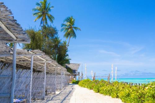 a pathway to the beach with palm trees at ZAN Uhuru Beach in Jambiani