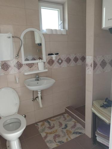 バイナ・バシュタにあるEmaのトイレと洗面台付きのバスルーム