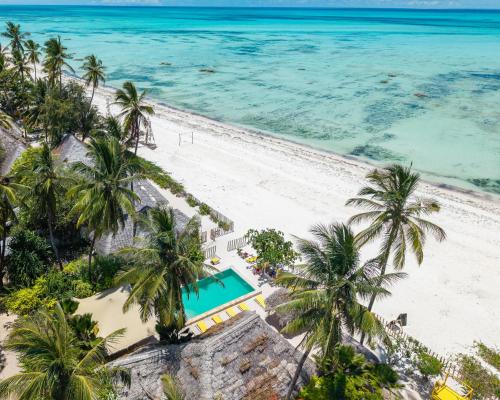 an aerial view of a beach with palm trees and the ocean at ZAN Uhuru Beach in Jambiani