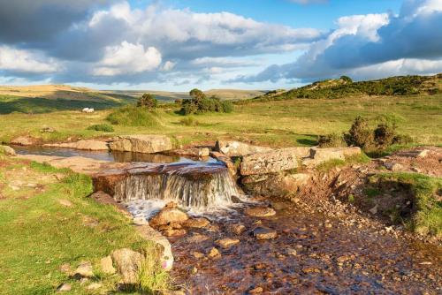 a waterfall in the middle of a grassy field at Latchley Meadows Lodge in Sydenham Damerel