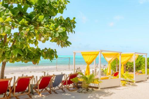 a beach with chairs and a tent and the ocean at ZAN Uhuru Beach in Jambiani