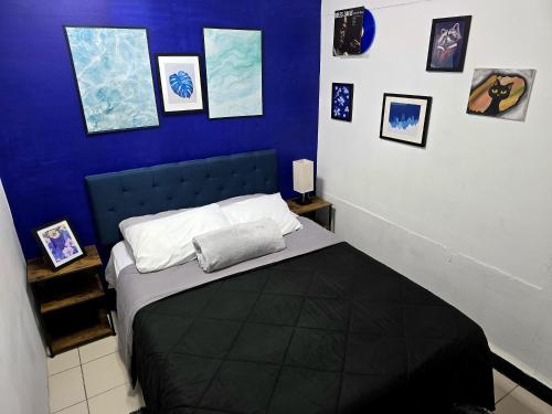 a bedroom with a bed with a blue wall at Departamento Completo En Centro de Monterrey in Monterrey