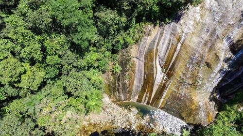 an overhead view of a forest and a waterfall at Mata Atlântica Park Hotel in Matinhos