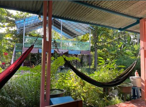 a patio with two hammocks in a garden at daTerra Vilaverde in Dili