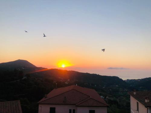 a sunset with birds flying in front of a mountain at Simona Elba Home in Rio nellʼElba