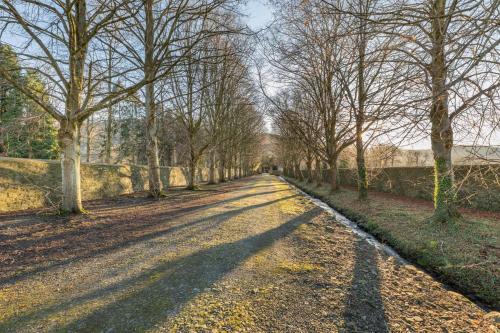 a road with trees on the sides of it at Llangedwyn Smithy in Llangedwyn