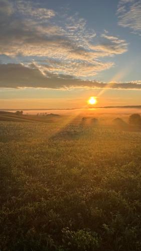 a sunset in a field with the sun in the horizon at Rozkoszne Roztocze - domek na wynajem 