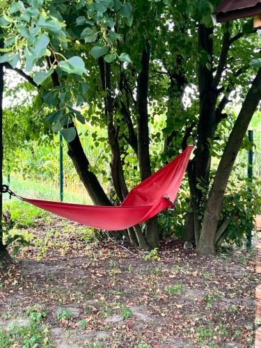 a red umbrella hanging from a tree at Rozkoszne Roztocze - domek na wynajem 