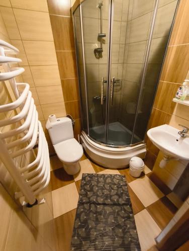a bathroom with a shower and a toilet and a sink at Wynajem Pokoi Maria Sowińska in Biały Dunajec