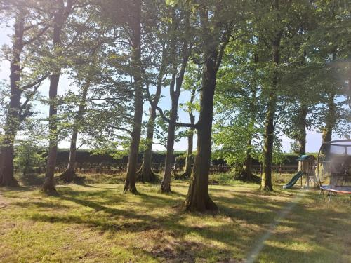 a park with trees and a swing set in the grass at Hafod y Llwynog in Cross Inn