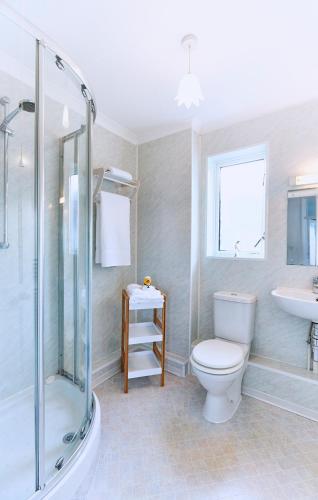a bathroom with a toilet and a sink and a shower at 2 Bed in St. Ives oc-p00693 in Carbis Bay
