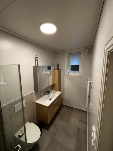 a bathroom with a toilet and a sink at Gemütliche Ferienwohnung am Fjord 