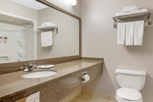 a bathroom with a sink and a toilet and a mirror at Best Western Plus Woodstock Hotel Conference Centre in Woodstock