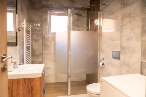 Un baño con ducha, inodoro y lavabo. en Apartmán pri Belej, en Pribylina