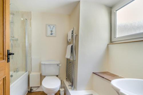 a bathroom with a toilet and a shower and a sink at The Cottage - Vineyard Street in Winchcombe