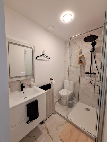 a bathroom with a sink and a shower and a toilet at Villa du Rosais in Talmont-Saint-Hilaire