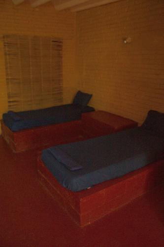 Posezení v ubytování Shalom Backpacker Hostel