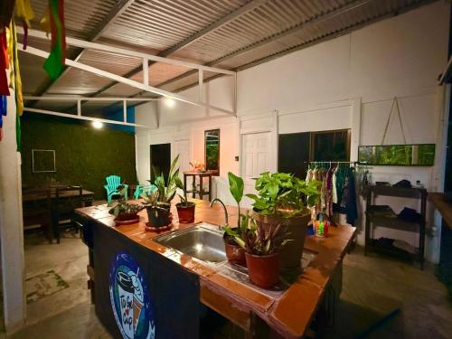 a kitchen with a sink with potted plants on it at Villas Itaita Beach Cabins in Punta Uva