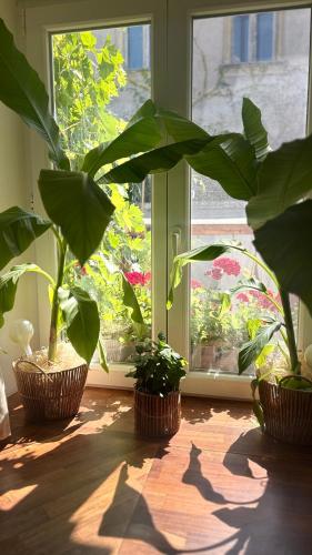 Κήπος έξω από το Tanny Boho Housy na pešej zóne s 2 parkovacími miestami