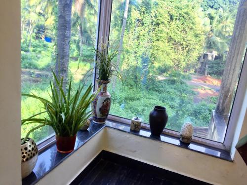 a window sill with vases and plants on it at Amber- Sun-Kissed Holidays, Goa in Chicalim