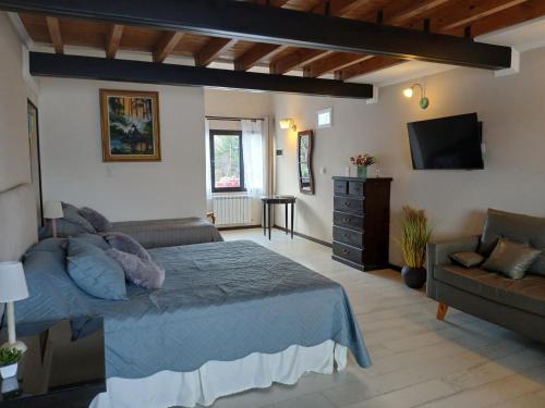 a bedroom with a bed and a tv and a couch at ARWEN Suites 1 in Trevelin