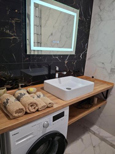 a bathroom with a sink and a washing machine at ЖК Dream Town, Lutsk in Lutsk