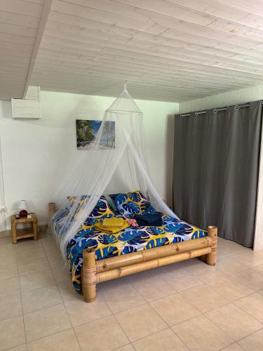 a bedroom with a bed with a mosquito net at Le Pitaya in Sainte-Rose