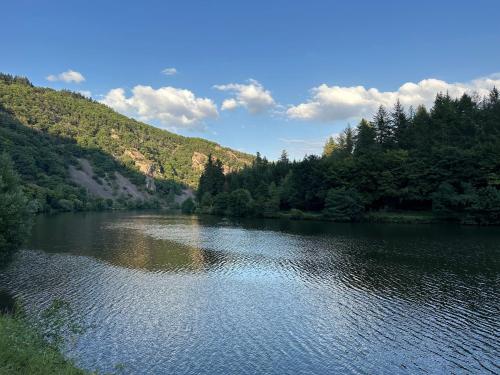 a river with trees on the side of a mountain at Moderne FerienWohnung NeuBau Merzig in Merzig
