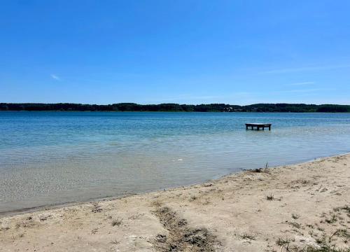 a bench sitting in the water next to a beach at Mazury w Zasięgu in Brajniki
