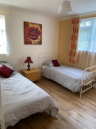 a bedroom with two beds and a painting on the wall at 4 bedroom, 7 single beds, with free parking & wifi near new walkway in Navan