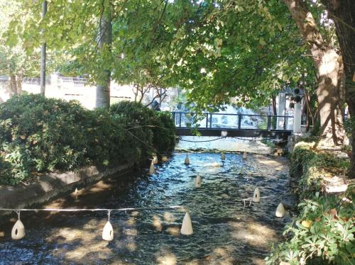 Κήπος έξω από το Pepper House Edessa