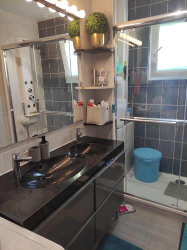 a bathroom with a sink and a mirror at Tréornou in Brest