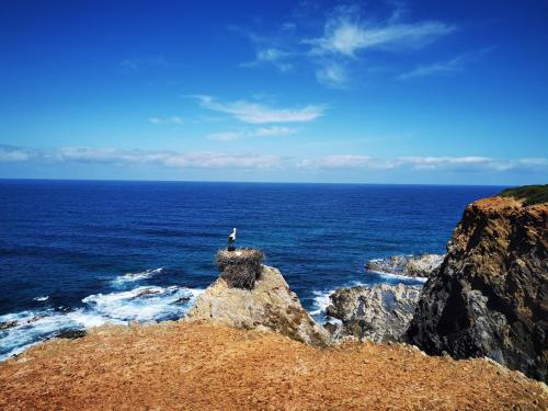 Paesaggio naturale nelle vicinanze della casa vacanze