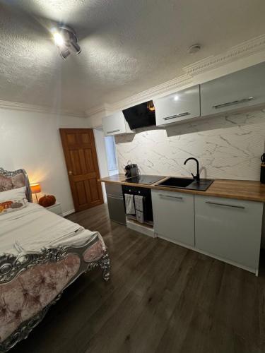 una camera con letto e una cucina con lavandino di Hills View a Portsmouth