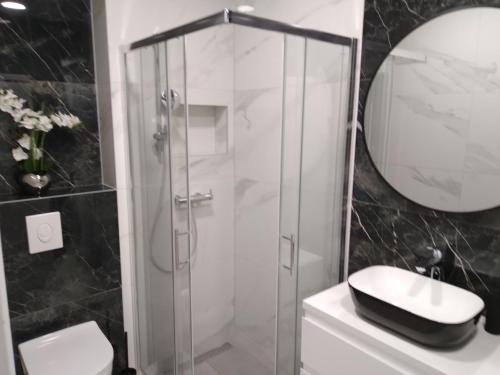 a bathroom with a shower and a toilet and a sink at Apartment Hortenzija in Baška Voda