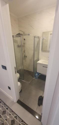 a bathroom with a shower and a toilet and a sink at Dreamy luxury two-bedroom penthouse apartment with special forest, mountain and sea views in Alanya