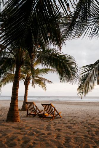 two chairs and a palm tree on the beach at Lo Sereno Casa de Playa in Troncones