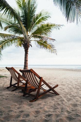 two beach chairs and a palm tree on the beach at Lo Sereno Casa de Playa in Troncones