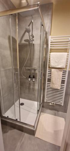 a shower with a glass door in a bathroom at Casa Mateo Mediterranes Studio in Bielefeld