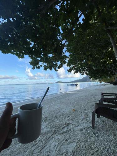 a person holding a cup of coffee on the beach at Maupiti Bambou Camping in Maupiti