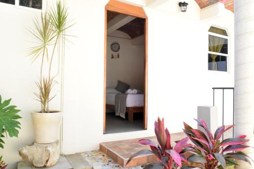 a room with a mirror and some plants at Casa Macuil in Brisas de Zicatela