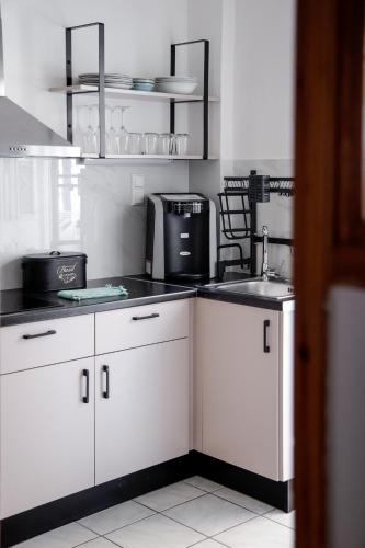 Dapur atau dapur kecil di Tropical Beach "Amphitrite"