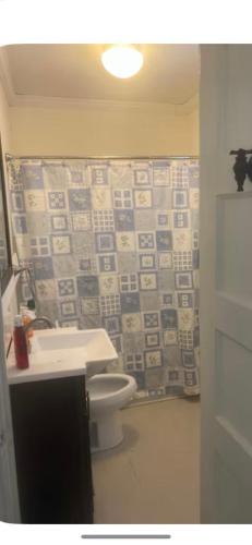 a bathroom with a white toilet and a sink at Charleston, SC themed - PRIVATE 1 QUEEN BED 1 BATH APARTMENT 2 FUTONS THAT FOLD OUT FLAT TO SLEEP ON & LEATHER LOVE SEAT GAS LOGS IN LIVING ROOM FULL KITCHEN POKER BUMPER POOL TABLE CONVENIENTLY LOCATED IN COLUMBIA SOUTH CAROLINA 1 QUEEN BED & 2 SOFA BEDS in Columbia