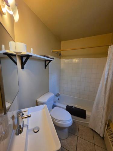 a bathroom with a toilet and a sink and a tub at Bio Vista Motel in Wainwright